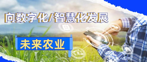 數字化鄉村智能管理 引領農業革命，助推農民增產致富